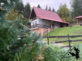 Vila Starcevic